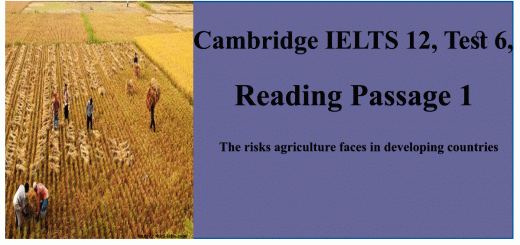 The risks agriculture faces in developing countries