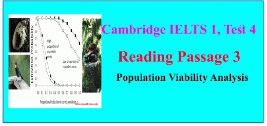 Population Viability Analysis