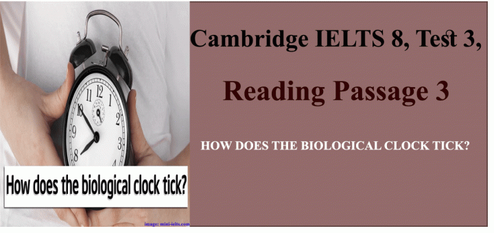HOW DOES THE BIOLOGICAL CLOCK TICK?