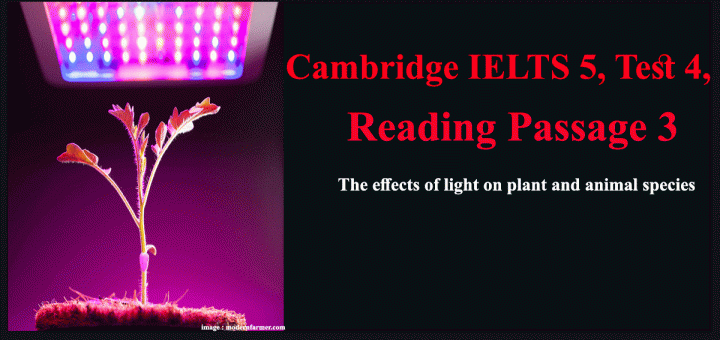 The effects of light on plant and animal species